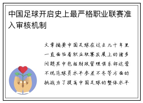 中国足球开启史上最严格职业联赛准入审核机制 中国足球开启史上最严格职业联赛准入审核机制